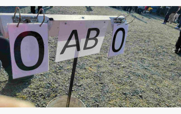 Concours Méli Mélo