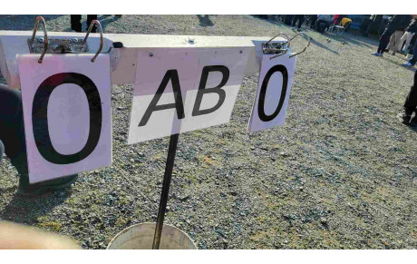 Concours Méli Mélo